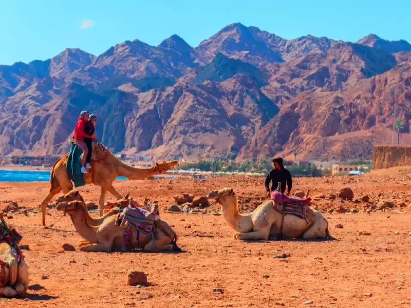 Escursione in Quad a Sharm el Sheikh